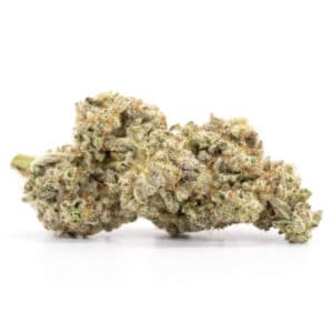 Gelato Strain for Sale | Canary Delivery